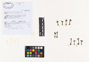 SW_BNB_s3040-02072_IMG-0000000001