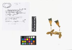 SW_BNB_s3040-02075_IMG-0000000001