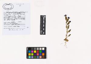 SW_BNB_s3040-02082_IMG-0000000001