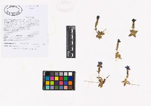 SW_BNB_s3040-02084_IMG-0000000001