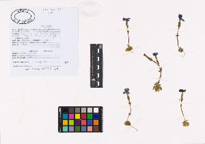SW_BNB_s3040-02085_IMG-0000000001