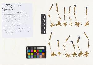 SW_BNB_s3040-02086_IMG-0000000001