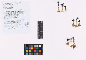 SW_BNB_s3040-02087_IMG-0000000001