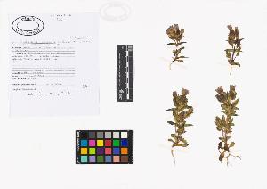 SW_BNB_s3040-02088_IMG-0000000001