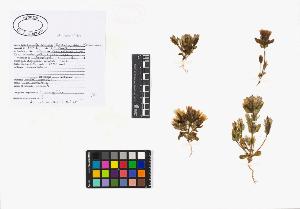 SW_BNB_s3040-02089_IMG-0000000001