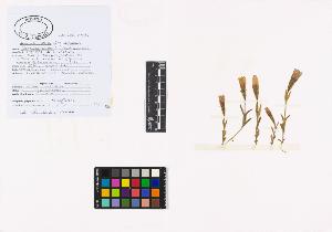 SW_BNB_s3040-02090_IMG-0000000001