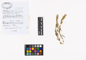 SW_BNB_s3040-02091_IMG-0000000001