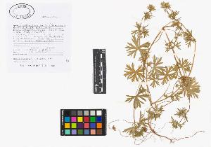 SW_BNB_s3040-02095_IMG-0000000001