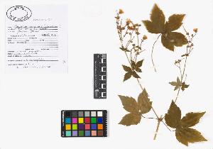 SW_BNB_s3040-02099_IMG-0000000001