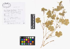 SW_BNB_s3040-02105_IMG-0000000001