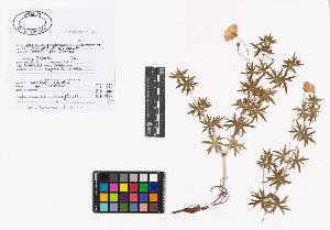 SW_BNB_s3040-02109_IMG-0000000001