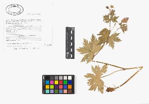 SW_BNB_s3040-02110_IMG-0000000001
