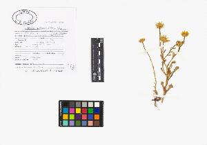 SW_BNB_s3040-02125_IMG-0000000001
