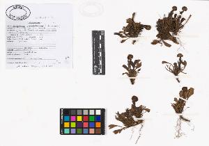SW_BNB_s3040-02131_IMG-0000000001