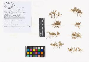 SW_BNB_s3040-02143_IMG-0000000001