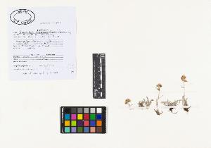 SW_BNB_s3040-02144_IMG-0000000001