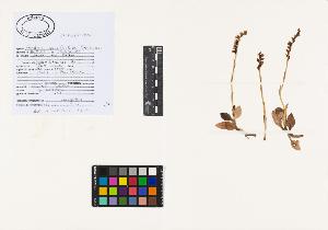 SW_BNB_s3040-02153_IMG-0000000001