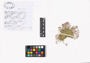 SW_BNB_s3040-02166_IMG-0000000001