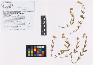 SW_BNB_s3040-02182_IMG-0000000001