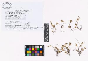 SW_BNB_s3040-02186_IMG-0000000001