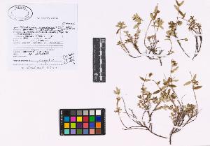 SW_BNB_s3040-02187_IMG-0000000001