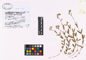 SW_BNB_s3040-02194_IMG-0000000001