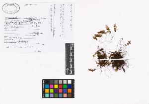 SW_BNB_s3040-02199_IMG-0000000001