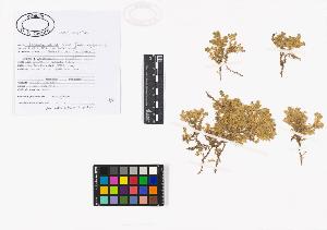 SW_BNB_s3040-02238_IMG-0000000001
