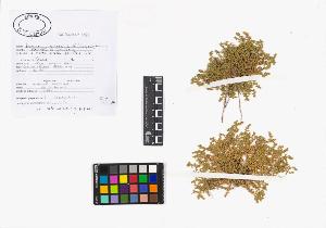 SW_BNB_s3040-02239_IMG-0000000001