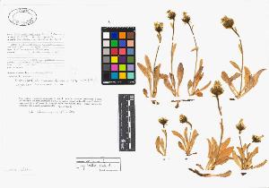 SW_BNB_s3040-02248_IMG-0000000001