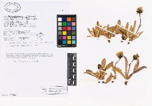 SW_BNB_s3040-02249_IMG-0000000001