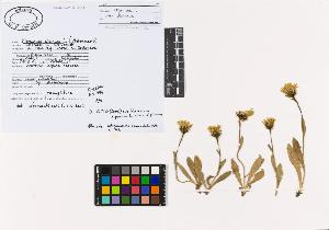 SW_BNB_s3040-02251_IMG-0000000001