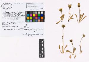 SW_BNB_s3040-02252_IMG-0000000001