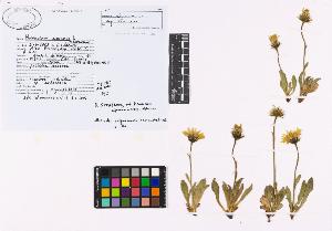 SW_BNB_s3040-02254_IMG-0000000001