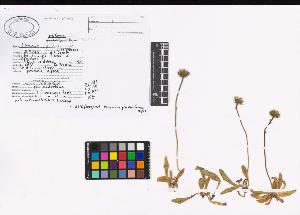 SW_BNB_s3040-02286_IMG-0000000001