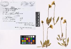 SW_BNB_s3040-02287_IMG-0000000001
