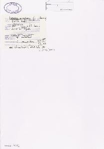 SW_BNB_s3040-02289_IMG-0000000001