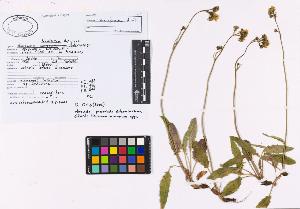SW_BNB_s3040-02301_IMG-0000000001