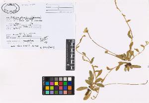 SW_BNB_s3040-02306_IMG-0000000001