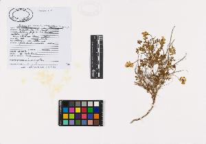 SW_BNB_s3040-02307_IMG-0000000001