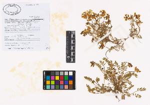 SW_BNB_s3040-02309_IMG-0000000001