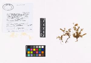 SW_BNB_s3040-02311_IMG-0000000001