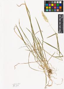 SW_BNB_s3040-02316_IMG-0000000001