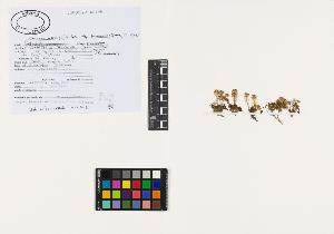 SW_BNB_s3040-02323_IMG-0000000001