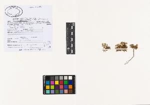 SW_BNB_s3040-02324_IMG-0000000001
