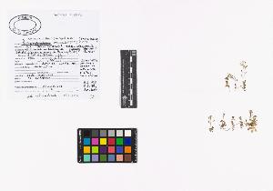 SW_BNB_s3040-02325_IMG-0000000001