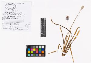 SW_BNB_s3040-02336_IMG-0000000001