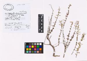 SW_BNB_s3040-02354_IMG-0000000001