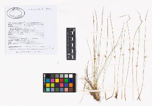 SW_BNB_s3040-02361_IMG-0000000001