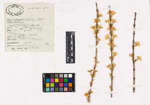 SW_BNB_s3040-02395_IMG-0000000001